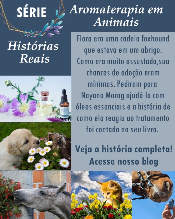 Aromaterapia cadela Flora