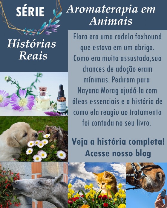 Aromaterapia cadela Flora