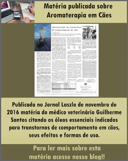 Aromaterapia em cães (ansiedade separação)