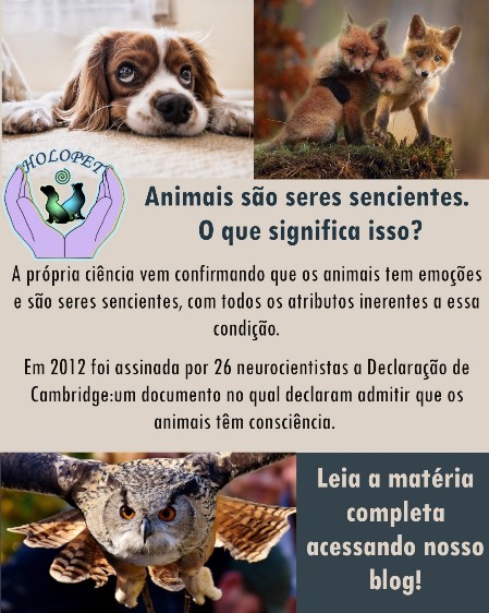 Animais são seres sencientes