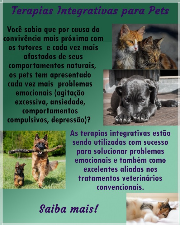 Terapias integrativas para pets
