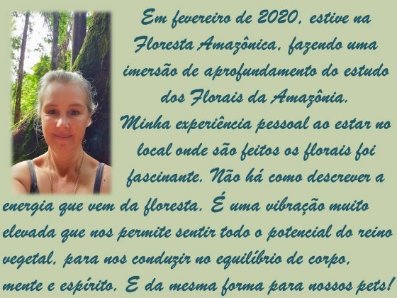 Imersão na Floresta Amazônica