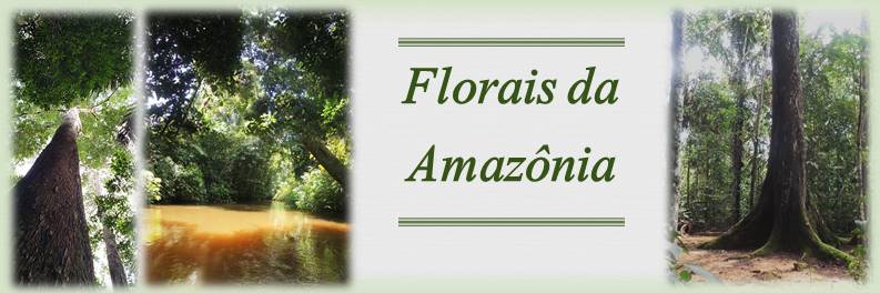 Florais da Amazônia