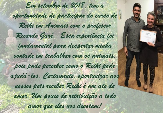 Curso de reiki em animais